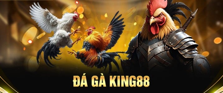 Đá Gà King88 - Sân chơi cá cược hấp dẫn cho người Việt
