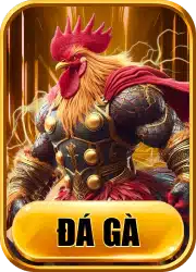 đá gà